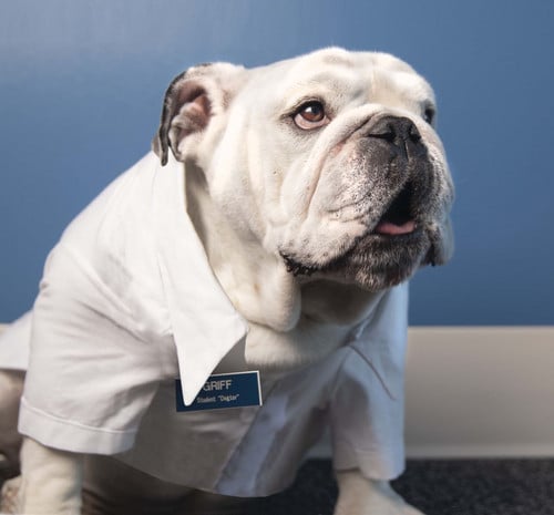 BullD.O.G.S. in Healthcare 2026: Overnight Camp (Posted 3-6-26)