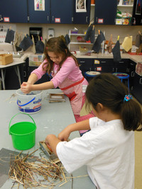 Making Paper - Photo Number 34