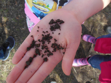 "What's Underfoot" - Rocks & Soil - Photo Number 1