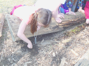 "What's Underfoot" - Rocks & Soil - Photo Number 6