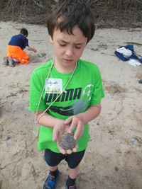 "What's Underfoot" - Rocks & Soil - Photo Number 13